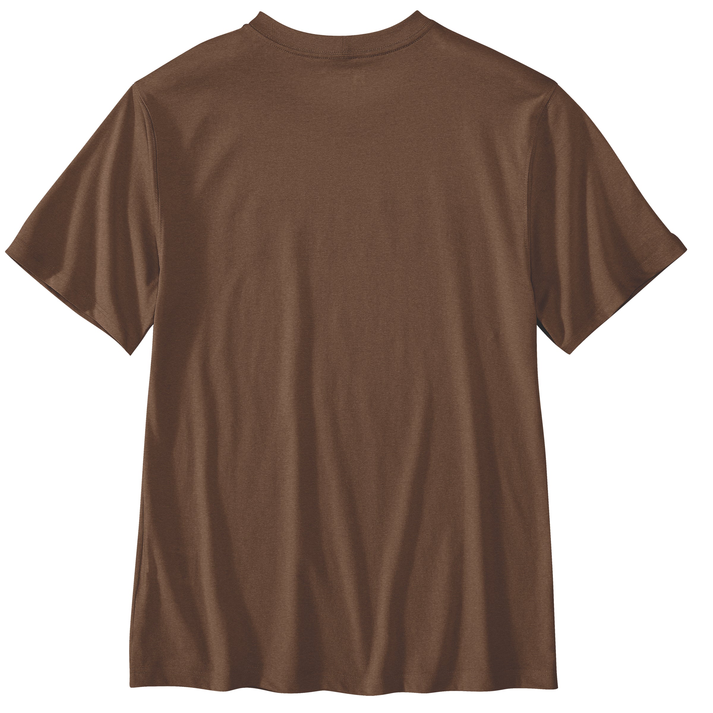 Carhartt Relaxed Fit Lightweight Short-Sleeve Script Graphic T-Shirt