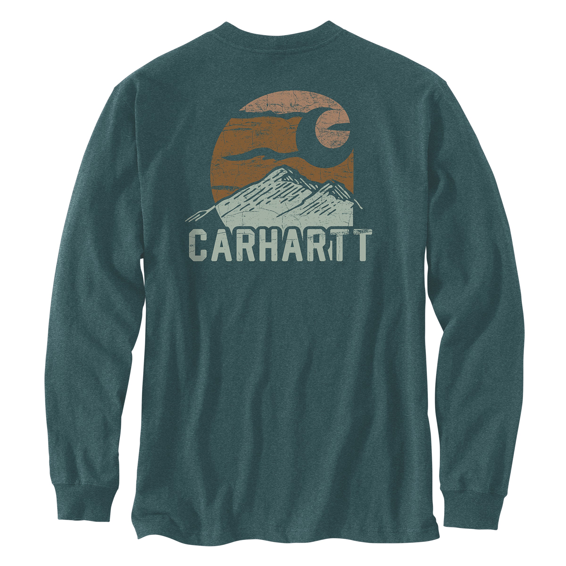 Carhartt Relaxed Fit Heavyweight Long-Sleeve Pocket Mountain Graphic T-Shirt