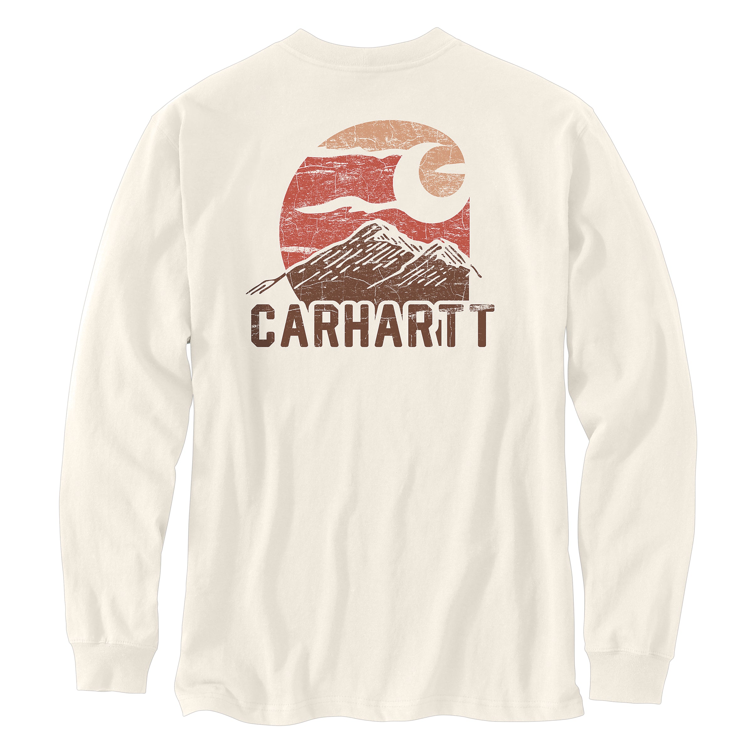 Carhartt Relaxed Fit Heavyweight Long-Sleeve Pocket Mountain Graphic T-Shirt