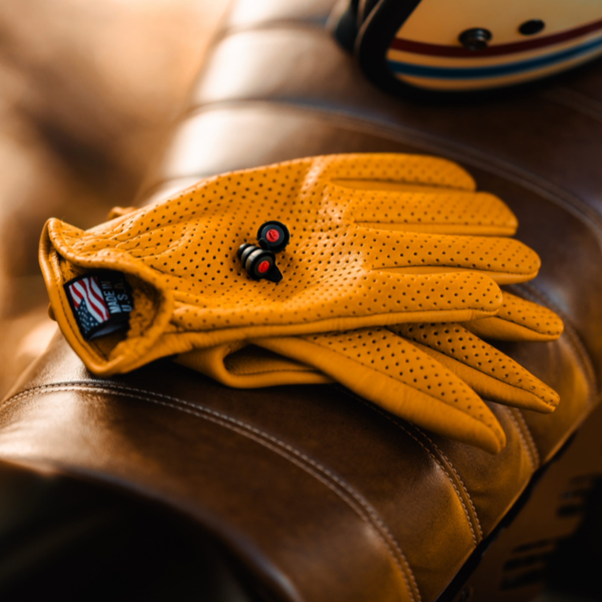 Pinlock Earplugs with Case