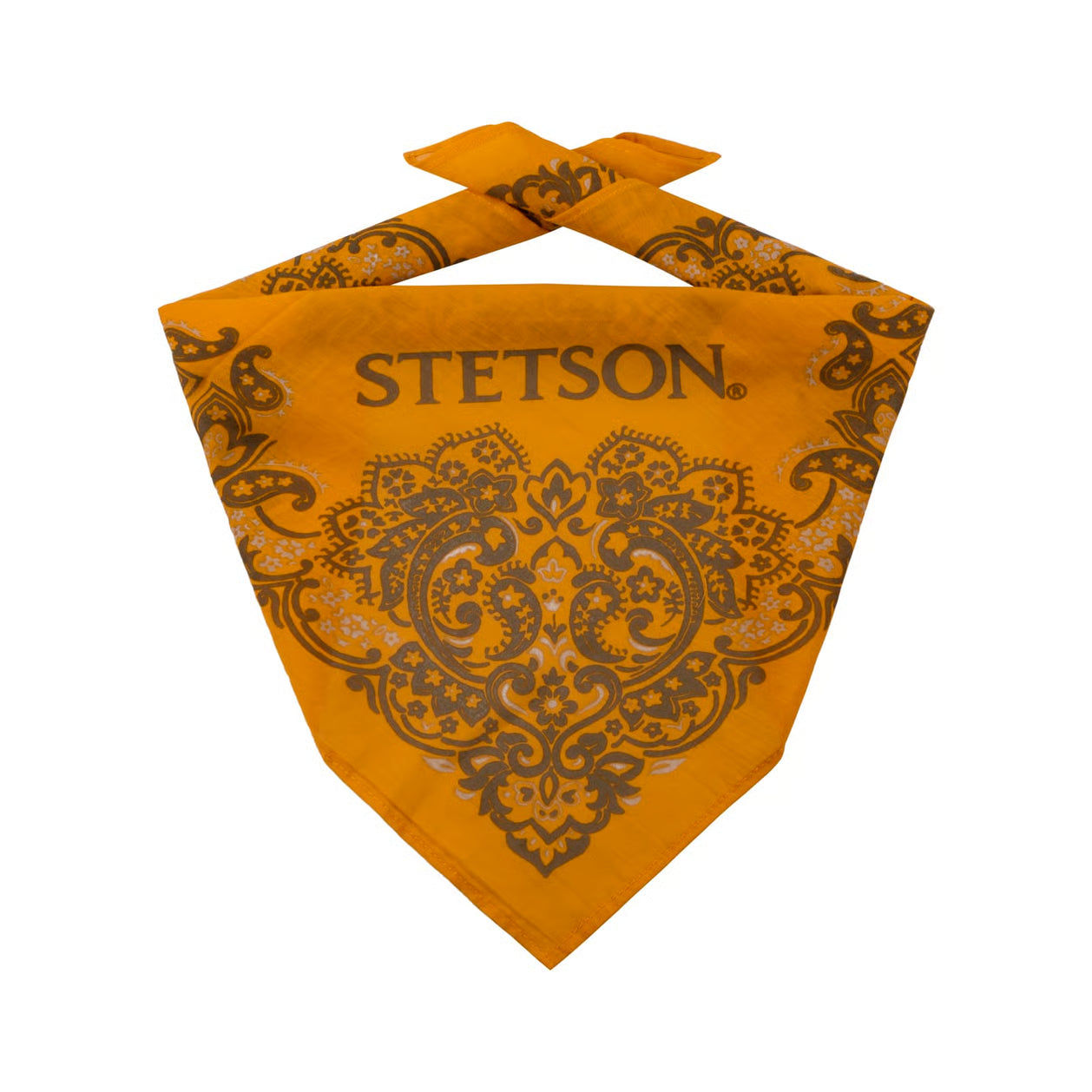 Stetson Paisley Bandana Cotton